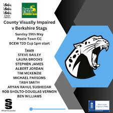 Image result for Poole Town Cc