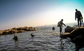 Image result for Aquanauts Dive Centre Sunderland