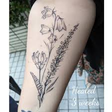 Attēlu rezultāti vaicājumam “Astragalus danicus flower”