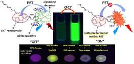 Hypochlorite‐Mediated Modulation of Photoinduced Electron Transfer ...