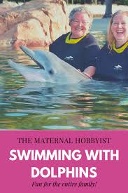 Image result for Dolphins Sheltered & Disabled Swim Club
