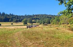 Image result for Staines Ramblers Group