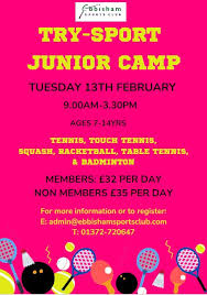 Image result for Ebbisham Badminton Club