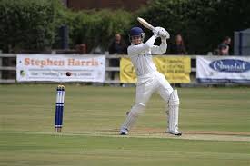 Image result for Bashley (Rydal) Cricket Club