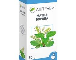 Attēlu rezultāti vaicājumam “Orthilia secunda fruit”