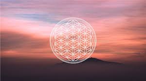 Image result for life flower