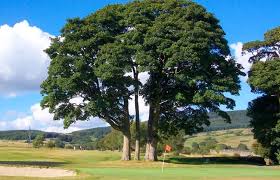 Image result for Mountain Ash Golf Club