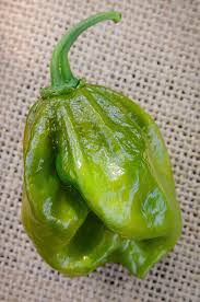 Afbeeldingsresultaat voor 7 pot hot pepper