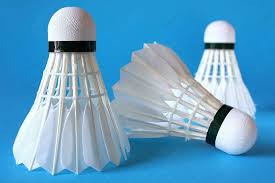 Image result for Shuttlecocks Badminton Club