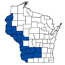 Image result for Cycleptus elongatus