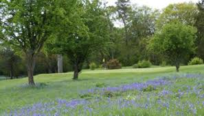 Image result for Denbigh Golf Club