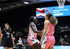 Image result for Nottingham Wildcats