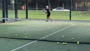 Image result for Ashtead Squash Club