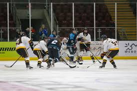 Image result for Cardiff Comets Ladies Ice Hockey