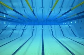 Image result for Stockton Swimming Club