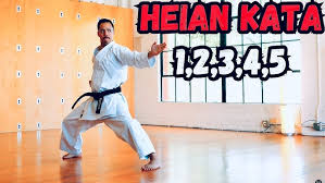 Image result for Shotokan Karate