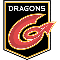 Image result for leicester dragons