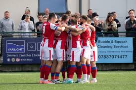 Image result for Dorking Football Club Limited