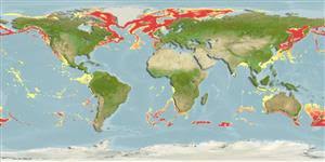 Image result for Amblyraja hyperborea