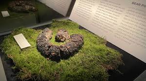 Картинки по запросу ты какашка