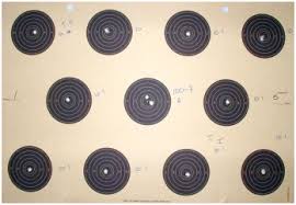 Image result for Darlington RA small-bore and Field target Club