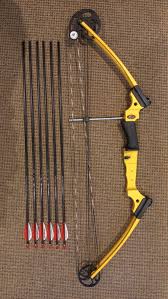 Image result for Leek Archery Club