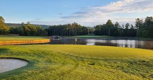 Image result for Romanby Golf Course