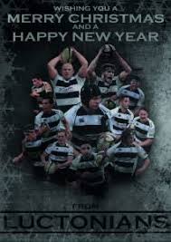 Image result for Luctonians Cricket Club