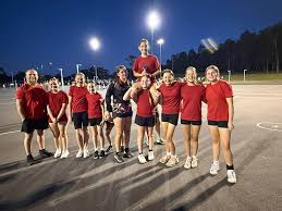 Image result for Brigg & District Netball Club