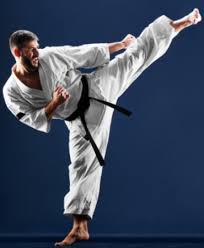 Image result for Tokei Martial Arts Club