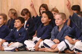 Image result for Yoseikan Budo England