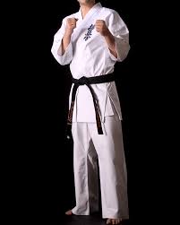 Image result for Kyokushin Karate
