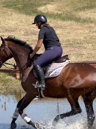 Image result for Fisher Equestrian