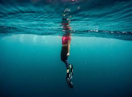Image result for Blue Water Freediving School