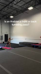 Image result for Arabian School Of Gymnastics, Milton Keynes