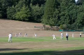 Image result for Frensham Cricket Club