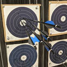 Image result for Windrush Bowmen