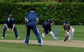Image result for Ipswich Cricket Club