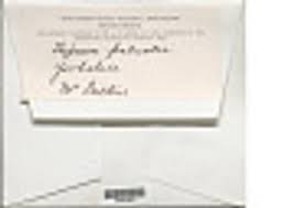 Attēlu rezultāti vaicājumam “Hygrohypnum luridum”