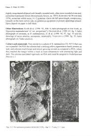 Attēlu rezultāti vaicājumam “Biscogniauxia granmoi”