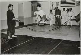 Image result for Kenpo Karate Club