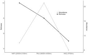 Attēlu rezultāti vaicājumam “Oligonema favogineum sessile”