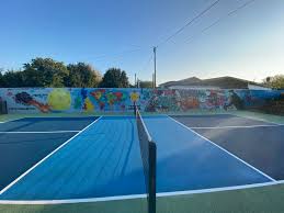 Image result for Milton Keynes Pickleball Club