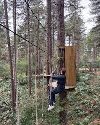 Image result for The Go Ape Experience (Delamere Forest)