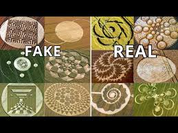 Image result for crop circle
