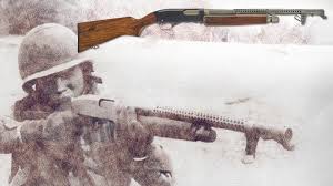Image result for Winchester Home Guard Rifle & Pistol Club