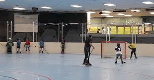 Image result for Vipers Roller Hockey Team