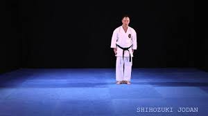 Image result for Jodan Karate