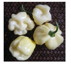 Afbeeldingsresultaat voor 7 pot hot pepper