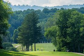 Image result for Amber Valley Gc